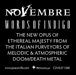 Pochette de Words of Indigo de Novembre