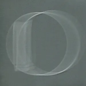 Pochette de The Oansome Orbit de Pimmon