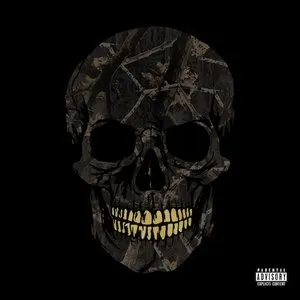 Pochette de Black Fall de Yelawolf