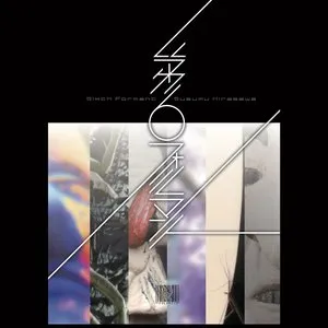 Pochette de 第6フォルマント de Susumu Hirasawa