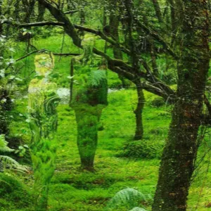 Pochette de Pathless Woods de Electric Dreams