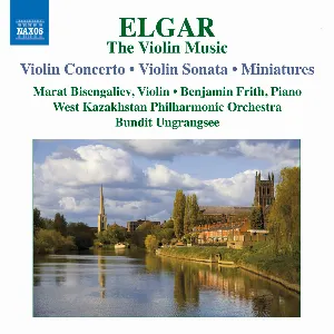 Pochette The Violin Music: Violin Concerto / Violin Sonata / Miniatures