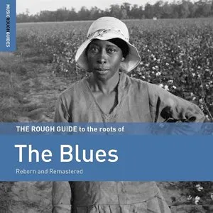 Pochette de The Roots of the Blues de Big Bill Broonzy