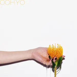 Pochette de 꿀차 de OOHYO