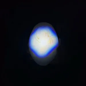 Pochette de Morpho de Donato Dozzy