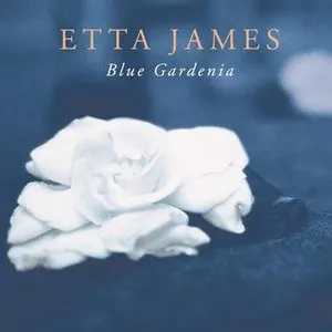 Pochette Blue Gardenia