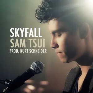 Pochette de Skyfall de Sam Tsui