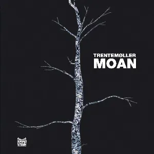 Pochette de Moan de Trentemøller