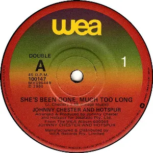 Pochette de She’s Been Gone, Much Too Long de Johnny Chester