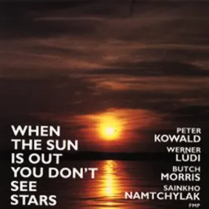Pochette de When the Sun Is Out You Don’t See Stars de Peter Kowald