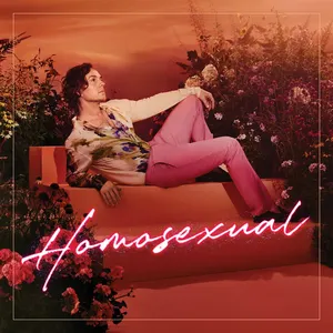 Pochette de Homosexual de Darren Hayes
