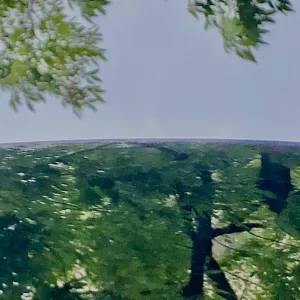 Pochette de おおきなしずく de Ueda Takayasu