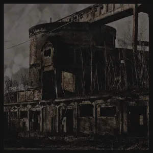 Pochette de VI: Klagopsalmer de Shining