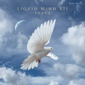 Pochette Liquid Mind XII: Peace