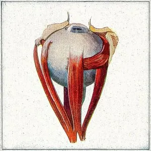 Pochette de Gerye Dare de Ali Hosseinzadeh