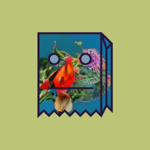 Pochette de Teenage Birdsong de Mr FijiWiji
