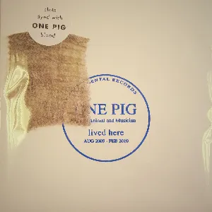 Pochette de One Pig: A Life In 3 Minutes de Matthew Herbert
