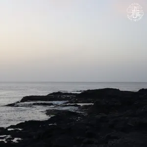 Pochette de At the Shore de Phlocalyst