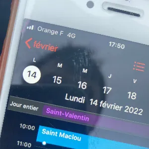 Pochette de Saint-Valentin (à Saint-Maclou) de Gwendoline