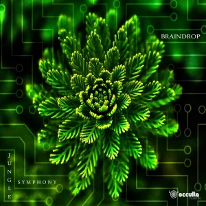 Pochette de Jungle Symphony de Braindrop