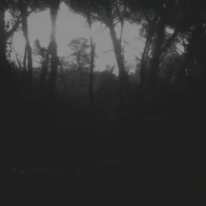 Pochette de Le silence éternel de Damien De Coene