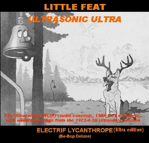 Pochette Expanded Electrif Lycanthrope