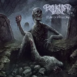 Pochette de 20 Years in a Terminal Grip de Paganizer