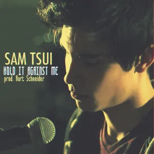 Pochette de Hold It Against Me de Sam Tsui