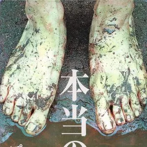 Pochette de 本当の嘘 de Plastic Tree