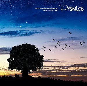 Pochette de 聖剣伝説 LEGEND OF MANA Arrangement Album - Promise - de Yoko Shimomura