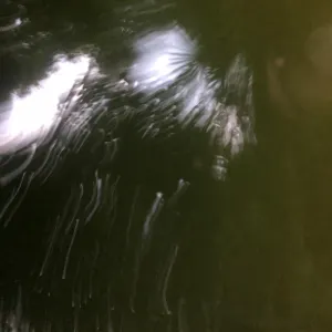 Pochette de Goldfisch de Ueda Takayasu