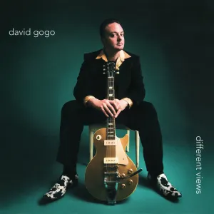 Pochette de Different Views de David Gogo