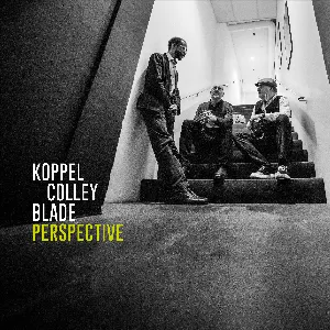 Pochette de Perspective de Scott Colley - Benjamin Koppel - Brian Blade