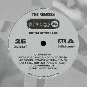 Pochette The Fat of the Land 25th Anniversary – Remixes
