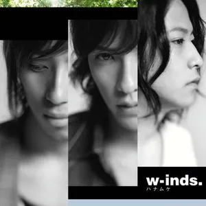 Pochette de ハナムケ de w-inds.