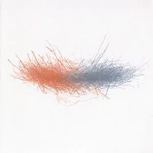 Pochette de Discrete Moments de John Tilbury - Eddie Prévost