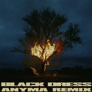 Pochette de Black Dress (Anyma Remix) de 070 Shake - Anyma
