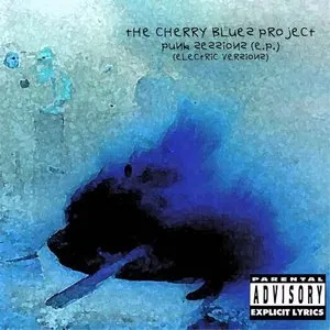 Pochette de Punk Sessions: Electric de The Cherry Blues Project