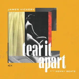 Pochette de Tear It Apart de Kenny Beats