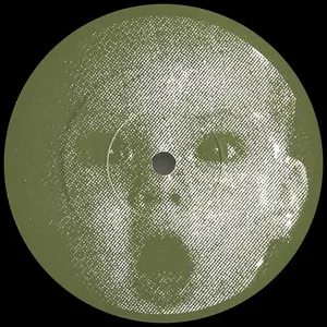 Pochette de Birds de Matthew Herbert