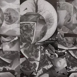 Pochette de I.B.M. de Maurizio Bianchi