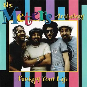 Pochette Funkify Your Life: The Meters Anthology