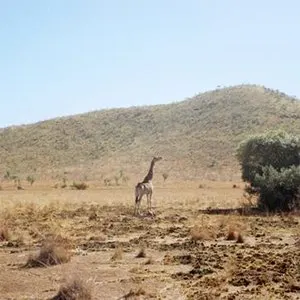 Pochette de 우리는 선처럼 가만히 누워 de Yozoh