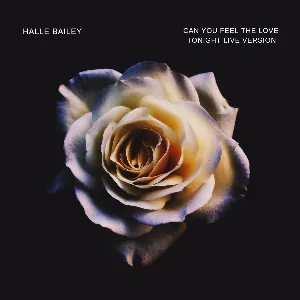 Pochette de Can You Feel the Love Tonight (live version) de Halle