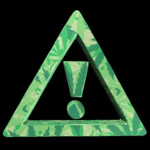 Pochette de Hood Fantasy de Flosstradamus