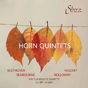 Pochette Horn Quintets