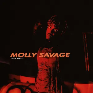 Pochette Molly Savage