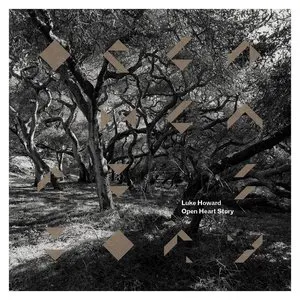 Pochette de Open Heart Story de Luke Howard