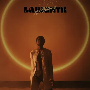 Pochette de No Ordinary de Labrinth
