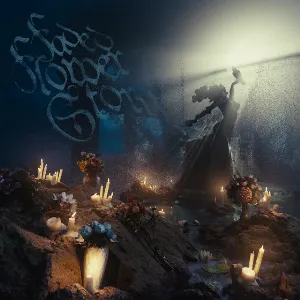 Pochette de Faded Flower Story de baby hayabusa - neophron
